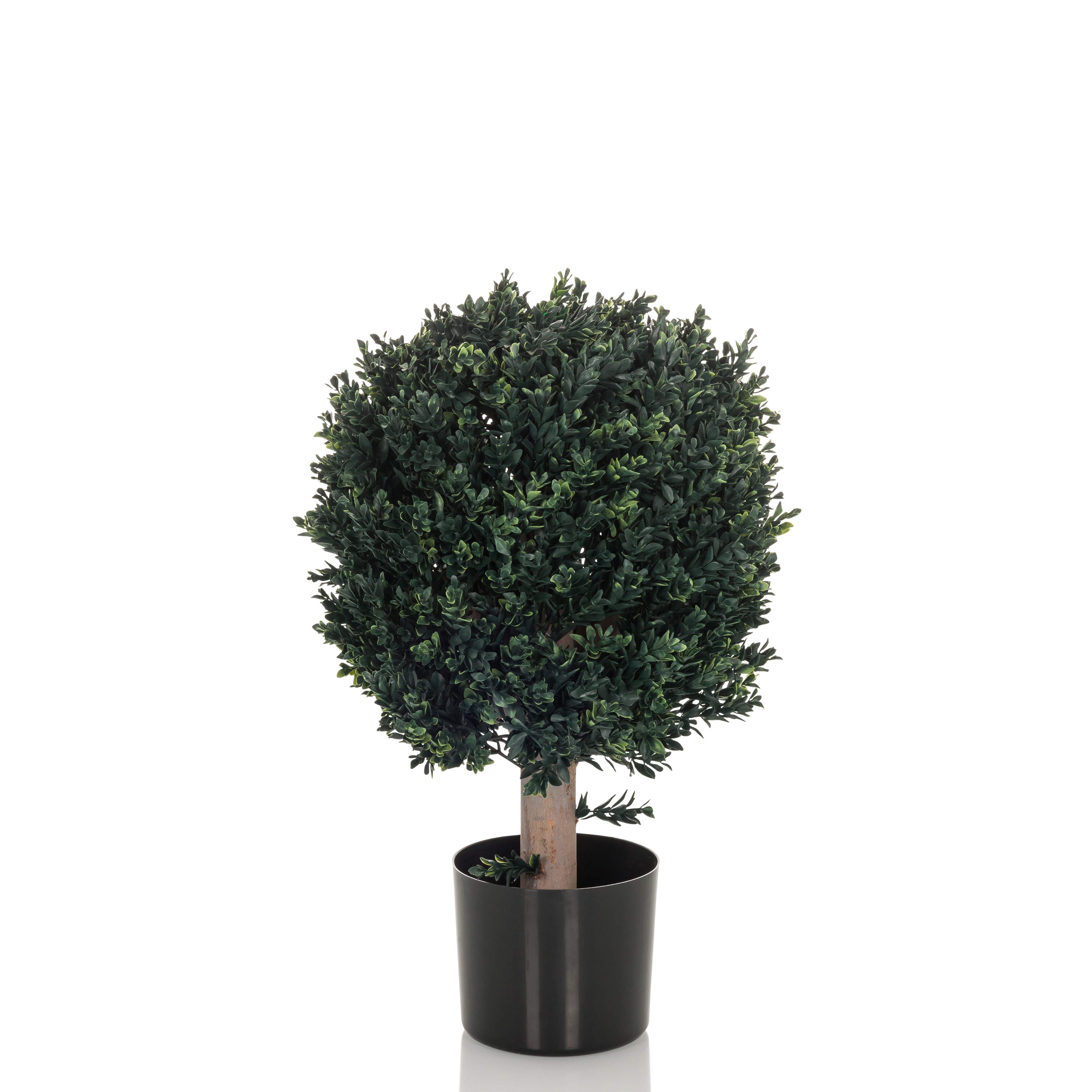 Kunstpflanze / Kunstbaum BUXUS 65 cm grün hjh OFFICE